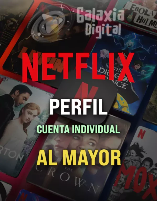 NETFLIX PERFIL (M)